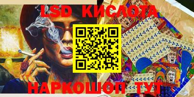 PSILOCYBIN Ярославль