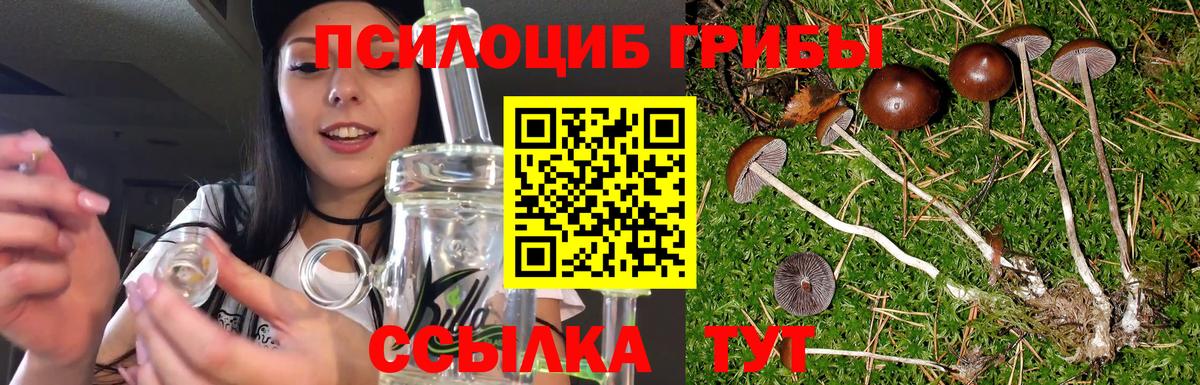 Псилоцибиновые грибы прущие грибы Борисоглебск